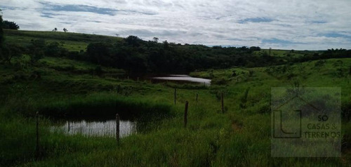 Fazenda À Venda, 65 Alqueires Por R$ 3.000.000 - Sítio Rural - São Sebastião Do Paraíso/mg - Fa0012