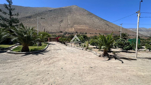 Arriendo Casa En Vicuña , Valle De Elqui