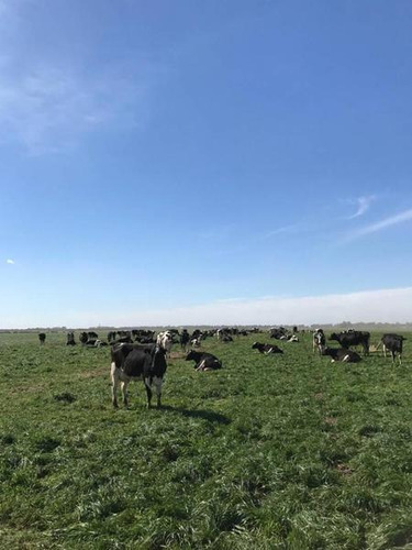 Imagen 8 de 10 de Venta - Campo En Plomer Pdo. General La Heras - Bayugar Negocios Inmobiliarios