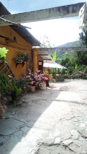 Imagen 8 de 18 de Venta Finca Génova 15 Cuadras