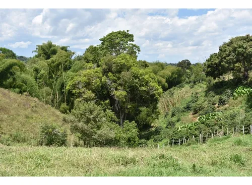 Se Vende Lote En Quimbaya Quindío