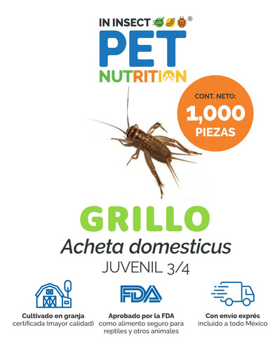 Grillos Vivos || Regular - Adulto 1000 Piezas Alimento Vivo