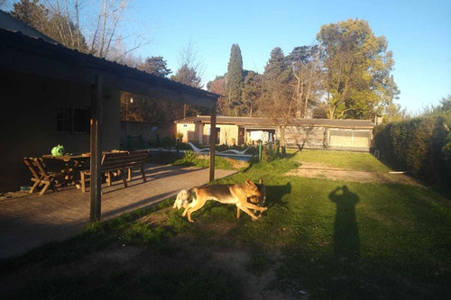 Imagen 7 de 14 de Casa Quinta Gran Lote Ubicacion Tranquila Oferta