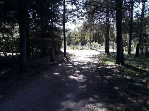 Imagen 4 de 5 de Lote | Entrada A13
