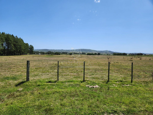 Imagen 13 de 30 de Chacra 5 Hs Con 2 Casas - Consulte !!! - Zona Rural Zona Rural