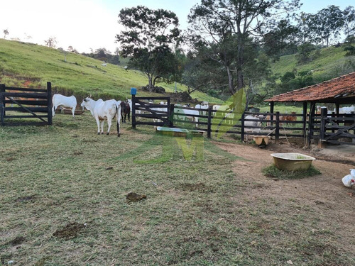 Imagem 12 de 15 de Sítio Em Piracaia Com 25 Alqueires - 1561
