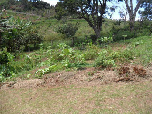 Imagem 5 de 30 de Chácara Com 2 Casas À Venda, 4000 M² Por R$ 550.000 - Zona Rural - Santo Antônio Do Pinhal/sp - Ch0095