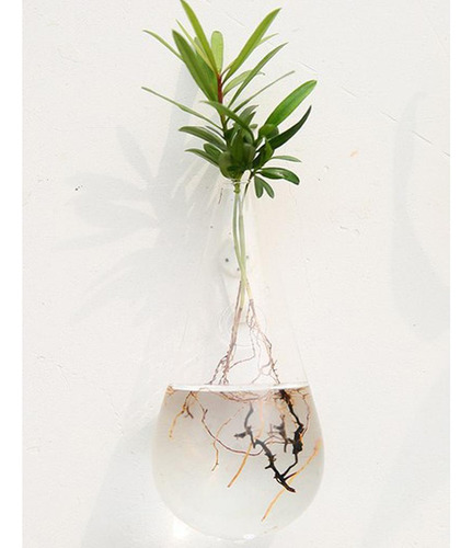 2x Planta Para Colgar En Florero Terrario Contenedor Maceta