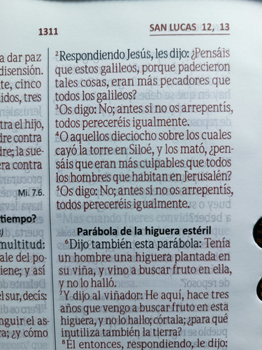 Biblia Letra Grande,con Forro , Reina Valero 1960 Negra