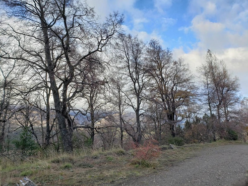 Imagen 8 de 9 de Terreno - San Martin De Los Andes