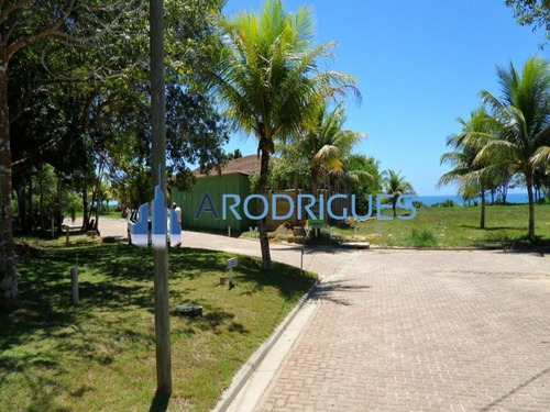 Imagem 18 de 20 de Ótimo Terreno À Venda Localizado Em Trancoso Todo Documentado E Levantamento Topográfico! - Te00126
