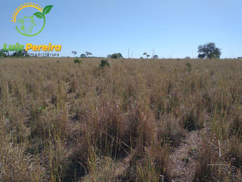 Imagem 14 de 15 de Fazenda À Venda Em Figueiropólis - To - 1118 Hectares (dupla Aptidão) - 1946