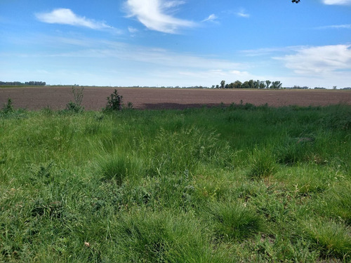 Imagen 4 de 12 de Campo En Venta En Lobos- Carboni