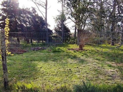 Casa Quinta En Venta En Punta Indio - 6.000 Metros Cuadrados