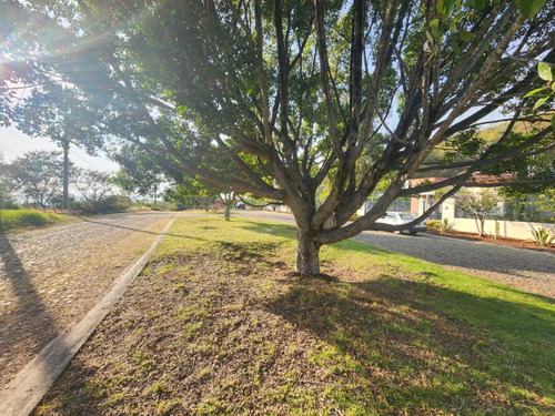 Venta Lote San Diego 152 Mz Xiii Con Todos Los Servicios, Vistas Panorámicas, Proyecto Arquitectónico Incluído En Av Principal Fracc Rancho San Diego Ixtapan De La Sal Edomex