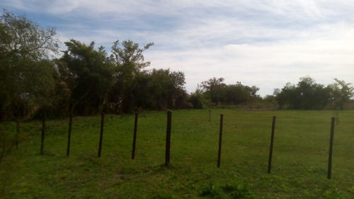Imagen 2 de 11 de Vendo Importantes Lotes Juntos O Separados En Barrancas Del Vega I Esquina (ctes.)