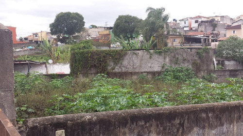 Alugue Sem Fiador, Sem Depósito E Sem Custos Com Seguro - Terreno Para Alugar, 1500 M² Por R$ 6.600 - Jardim Vila Formosa - Te0071