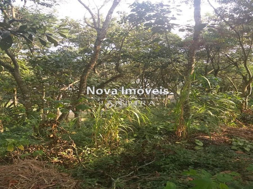 Imagem 8 de 25 de Area Para Investimento Parceira - 1392