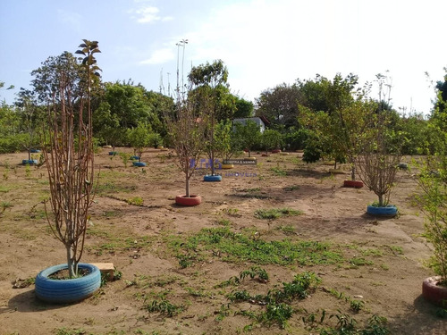 Chácara Com 3 Quartos Para Comprar No Cachoeirinha Em Divinópolis/mg - 4869