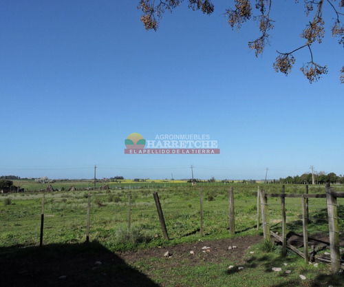 Imagen 20 de 21 de Chacra En Venta, 3 Has En Los Cerrillos, Casa Y Galones, Sobre Ruta!