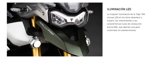 Imagen 21 de 24 de Triumph Tiger Rally Pro 900