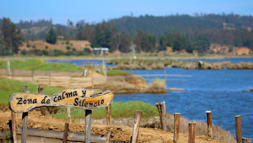 Parcelas Planas Con Vista En Pichilemu Alta Plusvalía Rol