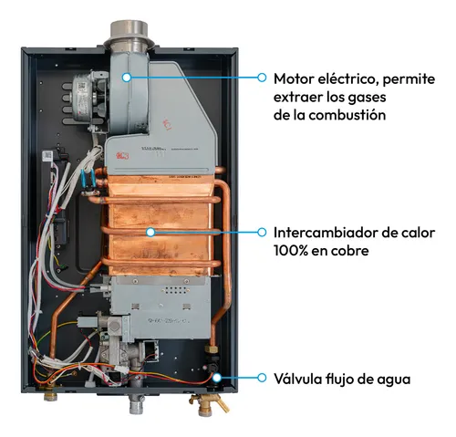 Calentador Digital De Paso Gas Natural 12 Lt Tiro Forzado