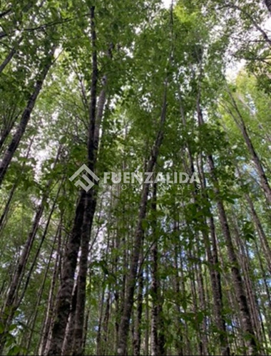 Parcela En Venta En Panguipulli