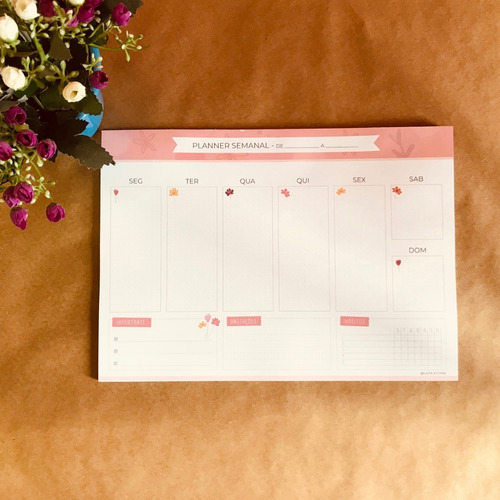 Kit Planners (semanal E Diário) + Caderno E Adesivos