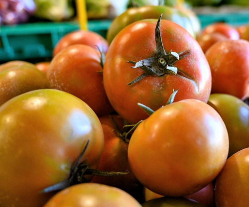 50 Semillas De Tomate Canario +instructivo