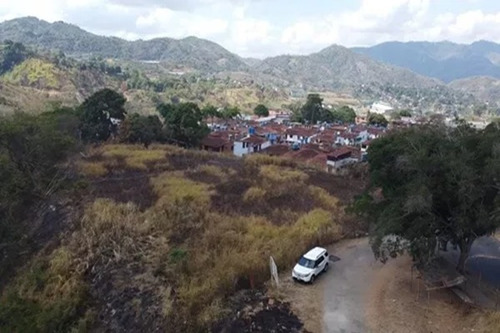 Terreno - La Rosa - 8.000 Mts2