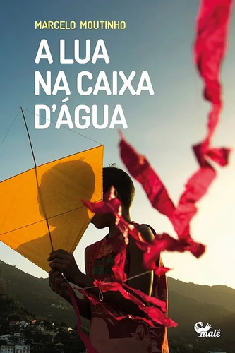 A lua na caixa d'água, de Moutinho, Marcelo. Malê Editora e Produtora Cultural Ltda, capa mole em português, 2021