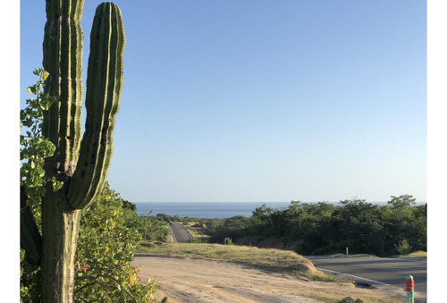 Zacaton Playa Tortuga, Zacaton Developer Land