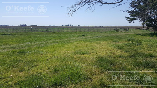 Chacra En Venta De 34 Has En Lezama. Ideal Para Producir Y Disfrutar
