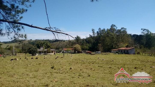 Imagem 14 de 15 de Plana Em Santa Branca Divida Com Guararema Com Riacho Fundos - 942