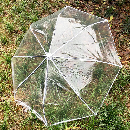 Guarda-chuva Automático Dobrável Transparente Para Mulheres