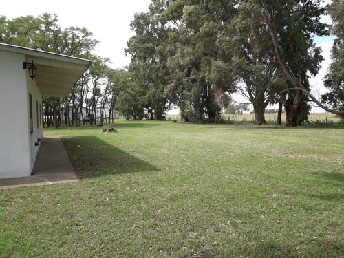 Imagen 3 de 18 de Venta Chacra 40 Hs Con Criadero De Cerdos En Las Flores.