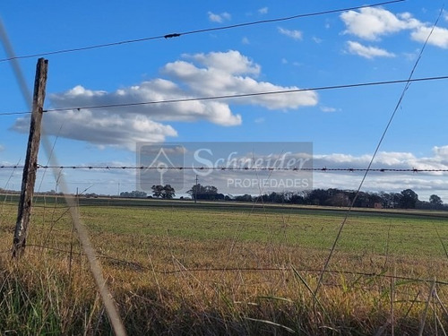 Imagen 2 de 8 de Se Vende Campo De 13 Has Agricola-ganadero En Carmen De Areco