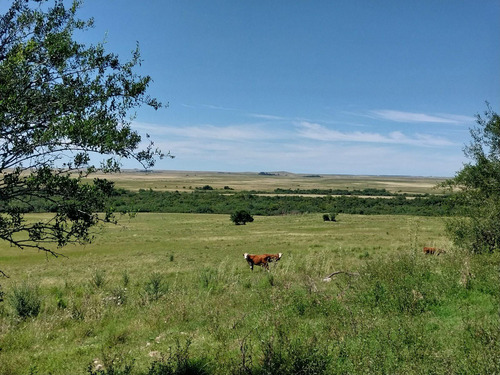 Excelente Estancia Ganadera 2881 Hectareas