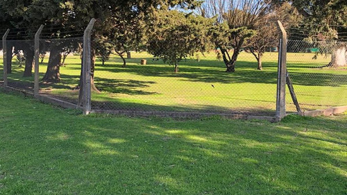 Imagen 4 de 7 de Lote Industrial En Venta Zona Sur Berazategui - Financiacion En Pesos!!
