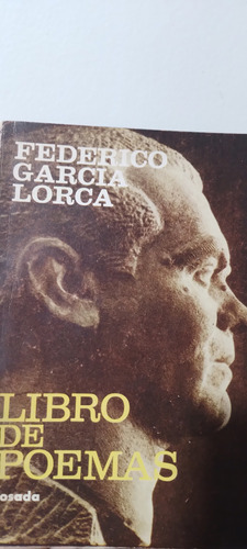 Libro De Poemas Federico García Lorca