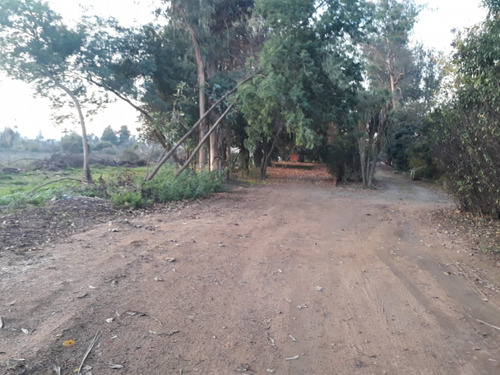 Sitio K-611/sector Altos De Lircay
