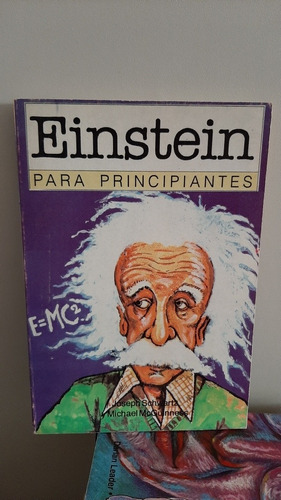 Einstein Para Principiantes - Schwartz / Mcguinness