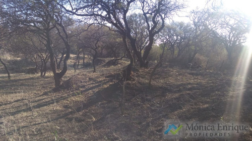 Oportunidada Nuevo Precio Lote En Villa Elena De 7647m2 Ideal Cabañeros Cortaderas San Luis