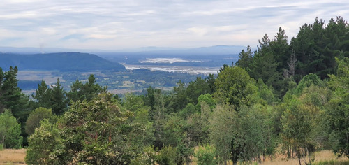 Parcela 5000 M2 En Potrero Alto, Valdivia.