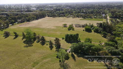 Imagen 3 de 18 de Lote En Venta En El Pato - Barrio Residencial La Vikkina