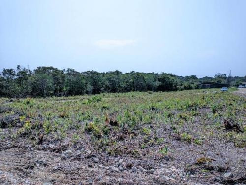 Imagem 8 de 12 de Oportunidade, Meio Lote Entrada E Parcelas 8204