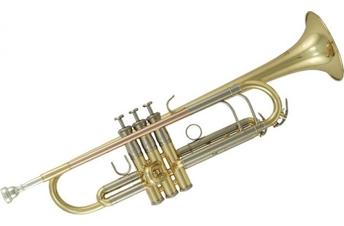 Roy Benson Tr-202 Trompeta Laqueada 3 Pistones Latón