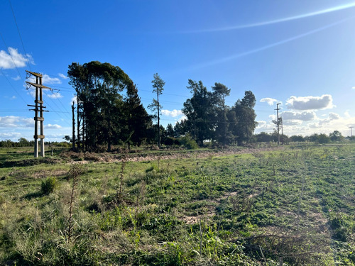 Imagen 4 de 17 de Atencion Inversor Amplia Parcela En Venta Sobre Ruta 20 Proxima A Las Lagunas De Chascomus Y Vitel