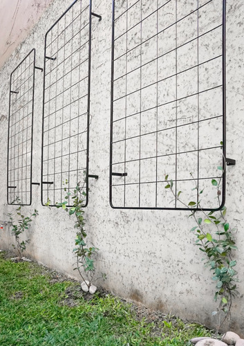 Espaldar Grande De Pared Para Trepadoras Pintado De Negro